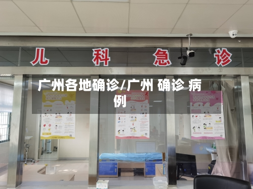 广州各地确诊/广州 确诊 病例