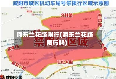 浦东兰花路限行(浦东兰花路限行吗)