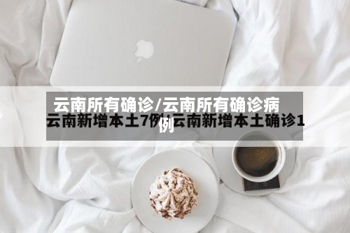 云南所有确诊/云南所有确诊病例-第2张图片