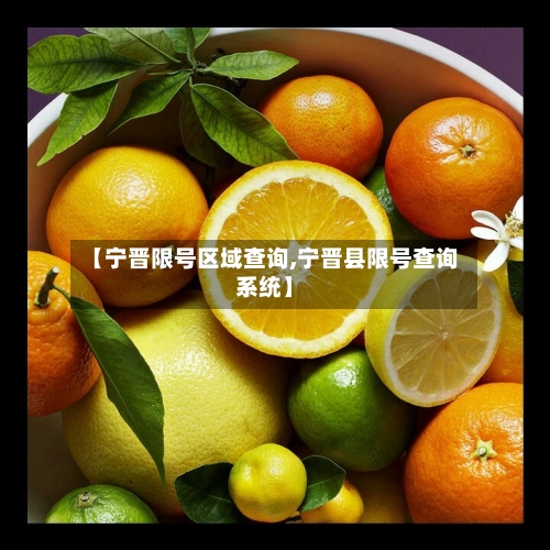 【宁晋限号区域查询,宁晋县限号查询系统】