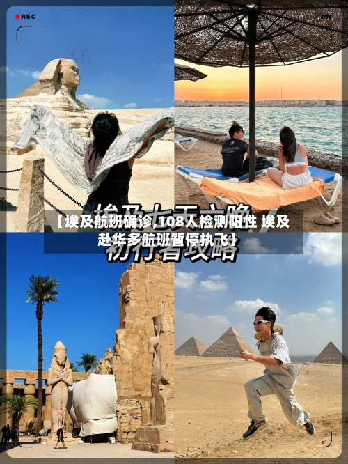 【埃及航班确诊,108人检测阳性 埃及赴华多航班暂停执飞】-第1张图片