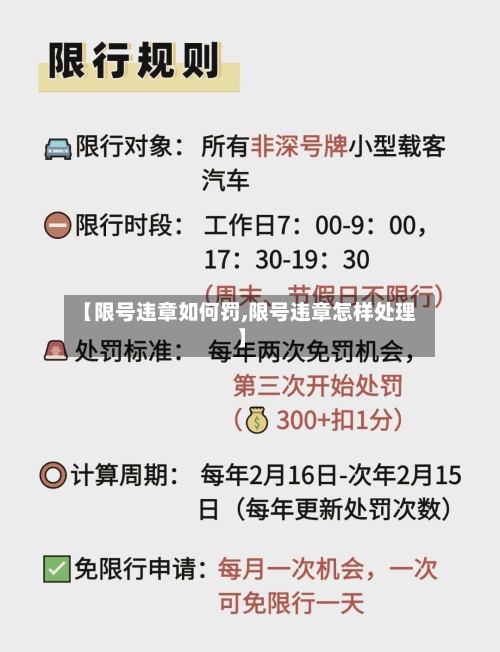 【限号违章如何罚,限号违章怎样处理】-第3张图片