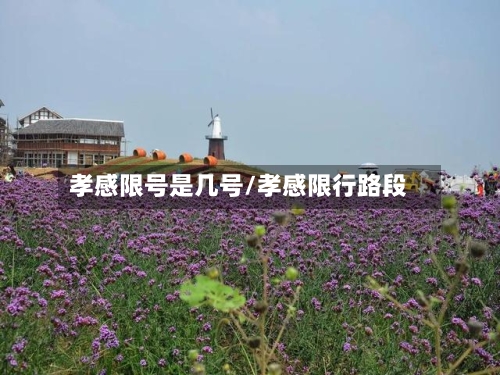 孝感限号是几号/孝感限行路段-第1张图片