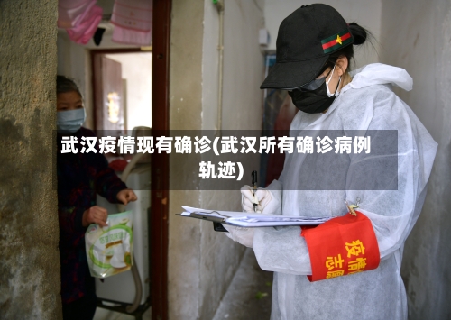 武汉疫情现有确诊(武汉所有确诊病例轨迹)-第3张图片