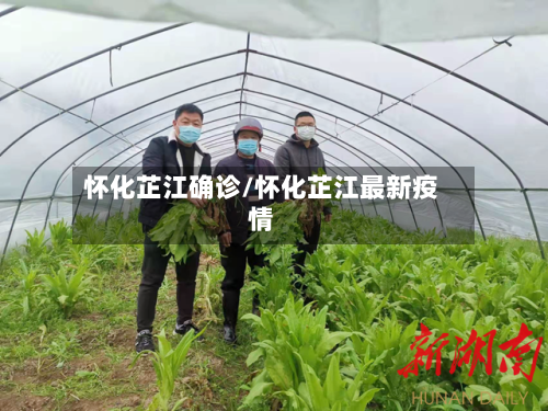 怀化芷江确诊/怀化芷江最新疫情-第1张图片