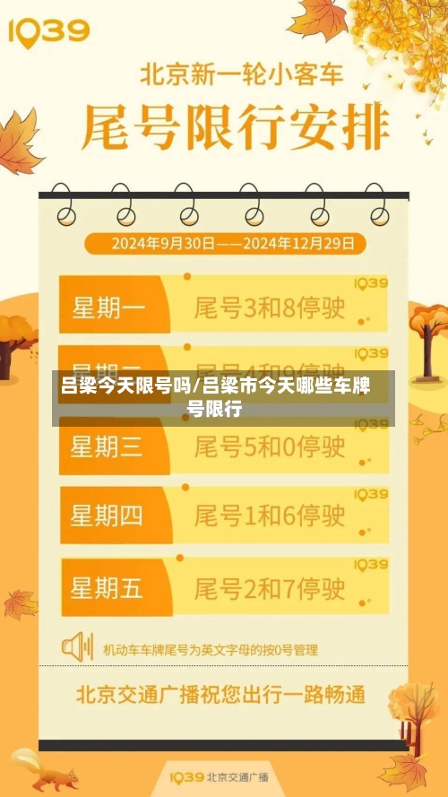 吕梁今天限号吗/吕梁市今天哪些车牌号限行-第3张图片