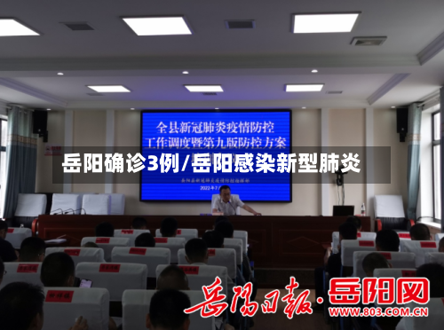 岳阳确诊3例/岳阳感染新型肺炎-第2张图片