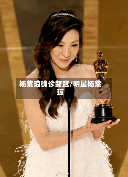 杨紫琼确诊新冠/明星杨紫琼-第2张图片
