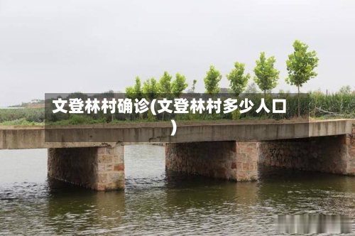 文登林村确诊(文登林村多少人口)