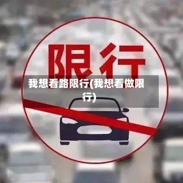 我想看路限行(我想看做限行)-第2张图片