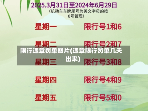限行违章罚单图片(违章限行罚单几天出来)