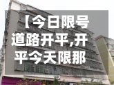 【今日限号道路开平,开平今天限那个号】-第2张图片