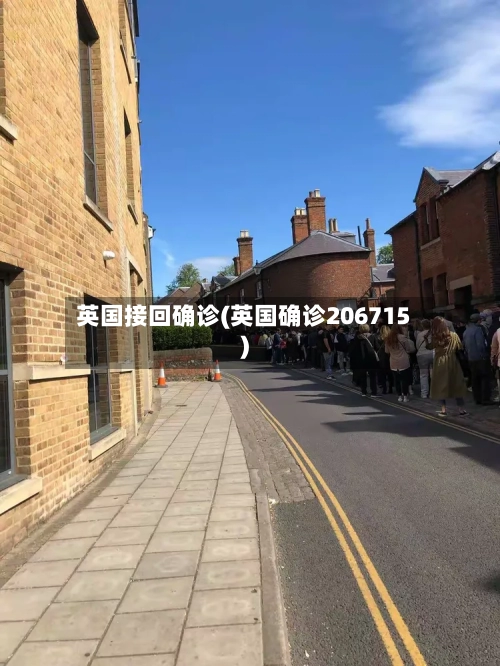 英国接回确诊(英国确诊206715)-第3张图片