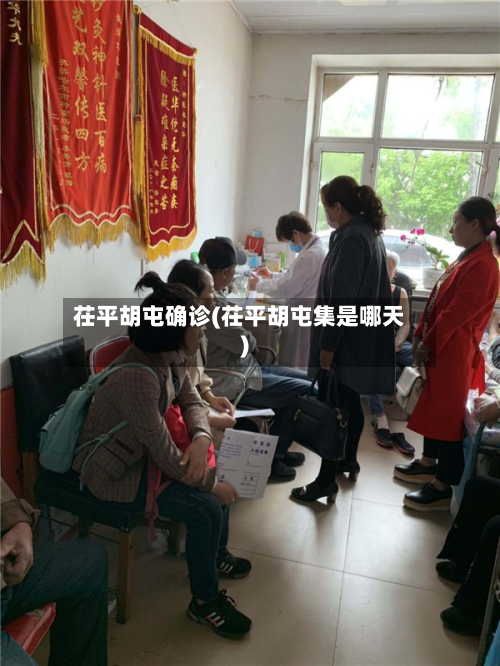 茌平胡屯确诊(茌平胡屯集是哪天)