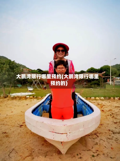 大鹏湾限行哪里预约(大鹏湾限行哪里预约的)-第3张图片