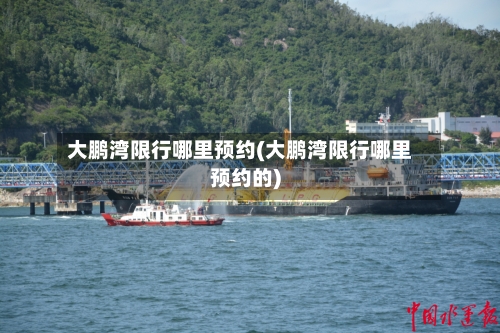 大鹏湾限行哪里预约(大鹏湾限行哪里预约的)-第2张图片