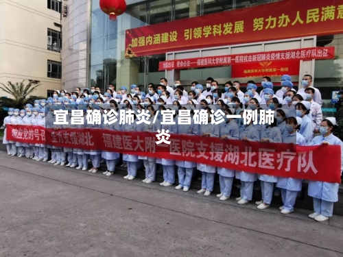 宜昌确诊肺炎/宜昌确诊一例肺炎-第3张图片