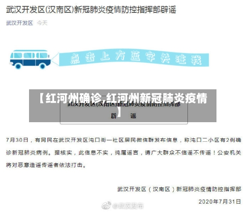 【红河州确诊,红河州新冠肺炎疫情】-第3张图片