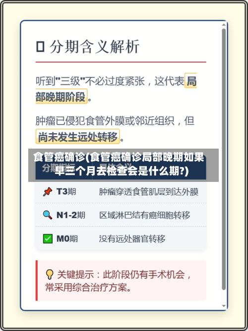 食管癌确诊(食管癌确诊局部晚期如果早三个月去检查会是什么期?)-第3张图片