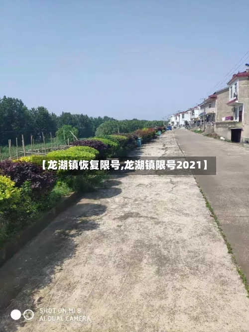 【龙湖镇恢复限号,龙湖镇限号2021】