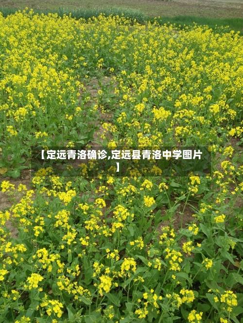 【定远青洛确诊,定远县青洛中学图片】-第2张图片