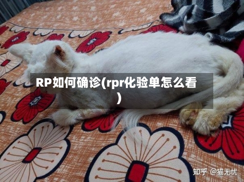 RP如何确诊(rpr化验单怎么看)-第2张图片