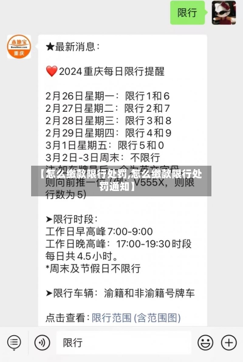 【怎么缴款限行处罚,怎么缴款限行处罚通知】