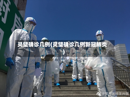 灵璧确诊几例(灵璧确诊几例新冠肺炎)