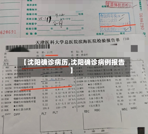 【沈阳确诊病历,沈阳确诊病例报告】