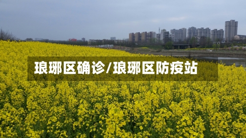 琅琊区确诊/琅琊区防疫站-第3张图片