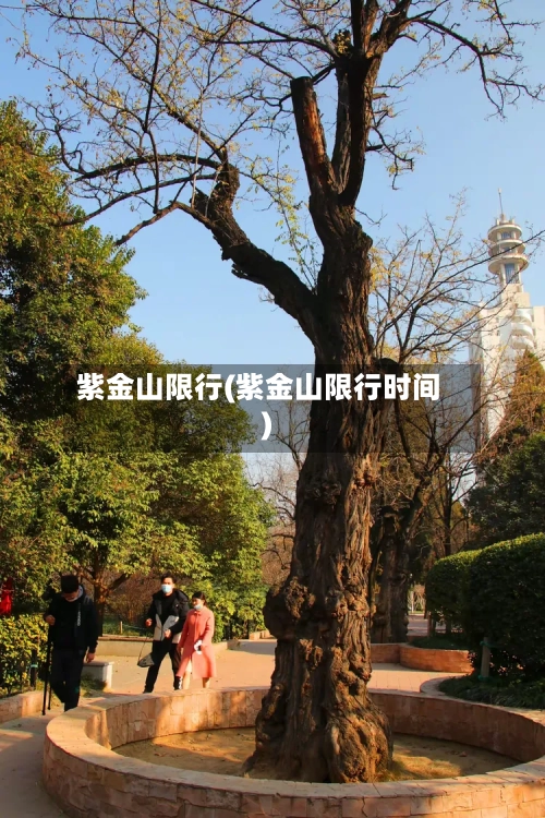 紫金山限行(紫金山限行时间)