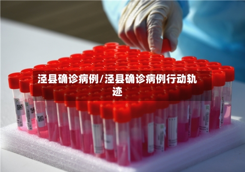 泾县确诊病例/泾县确诊病例行动轨迹