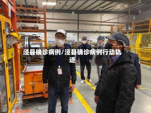 泾县确诊病例/泾县确诊病例行动轨迹-第2张图片