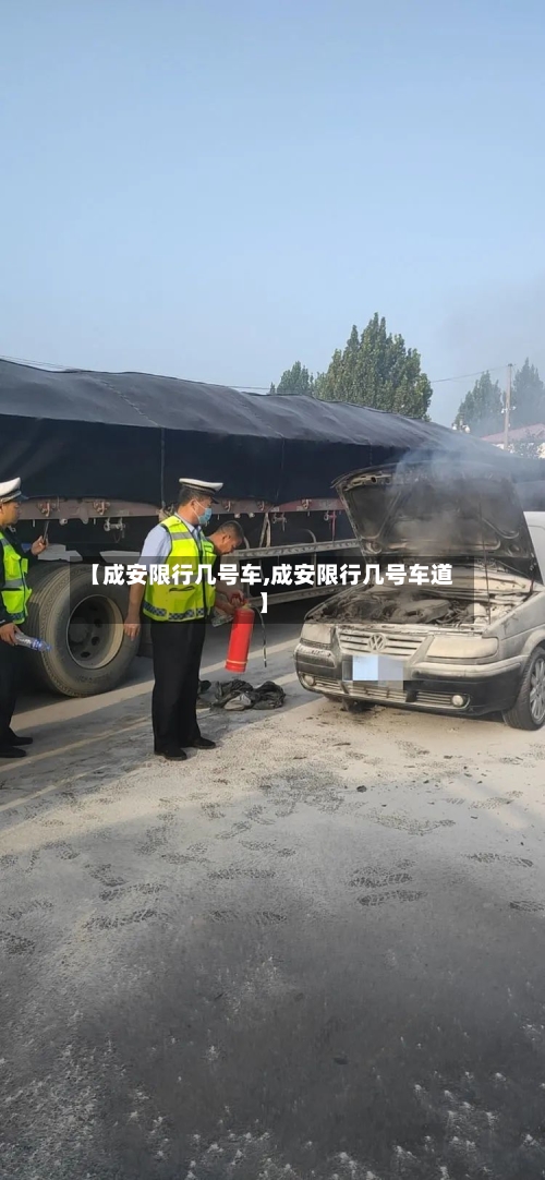 【成安限行几号车,成安限行几号车道】-第3张图片