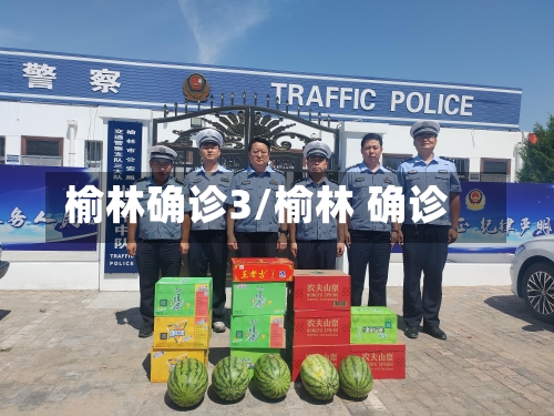 榆林确诊3/榆林 确诊-第2张图片