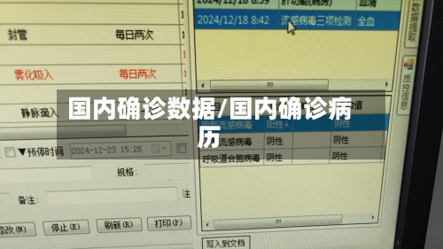 国内确诊数据/国内确诊病历-第2张图片