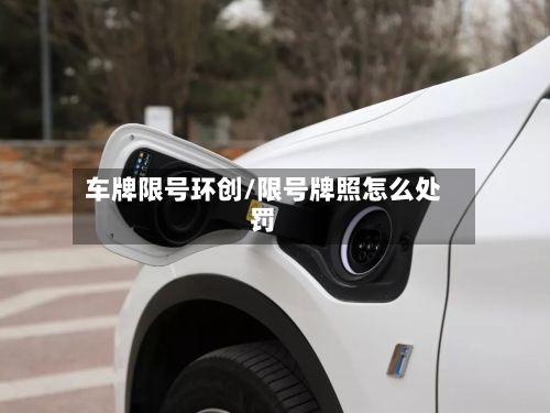 车牌限号环创/限号牌照怎么处罚