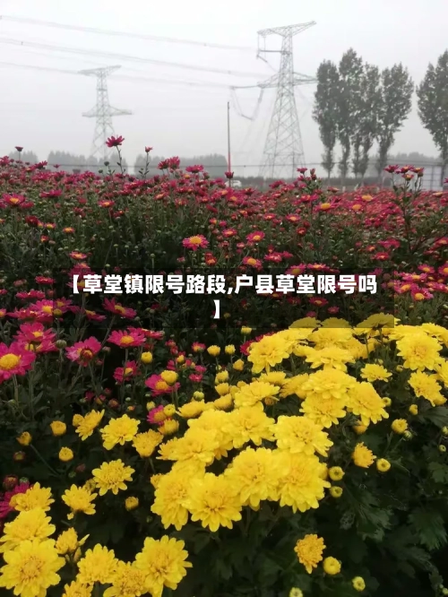 【草堂镇限号路段,户县草堂限号吗】