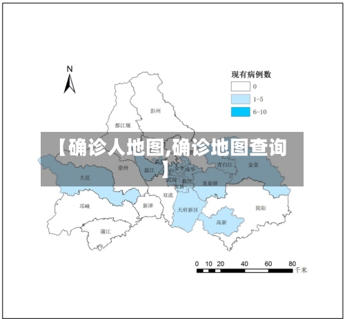 【确诊人地图,确诊地图查询】-第3张图片