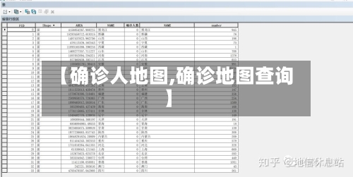 【确诊人地图,确诊地图查询】-第2张图片