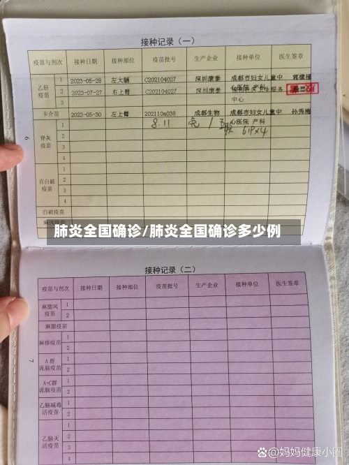 肺炎全国确诊/肺炎全国确诊多少例
