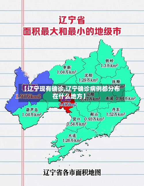 【辽宁现有确诊,辽宁确诊病例都分布在什么地方】