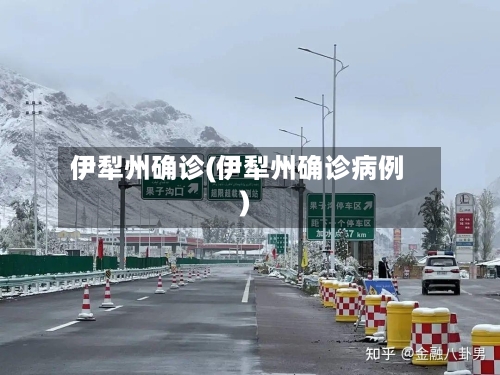 伊犁州确诊(伊犁州确诊病例)-第2张图片