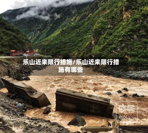 乐山近来限行措施/乐山近来限行措施有哪些-第2张图片