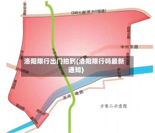 洛阳限行出门拍到(洛阳限行吗最新通知)-第2张图片