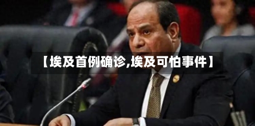 【埃及首例确诊,埃及可怕事件】