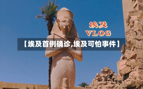 【埃及首例确诊,埃及可怕事件】-第2张图片