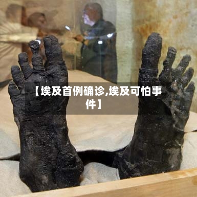 【埃及首例确诊,埃及可怕事件】-第3张图片