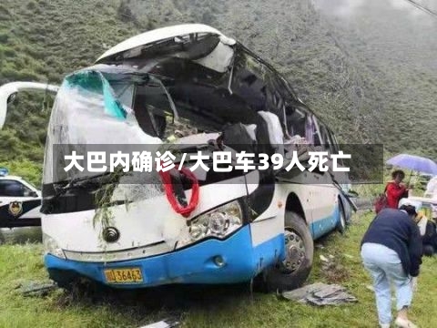 大巴内确诊/大巴车39人死亡-第3张图片