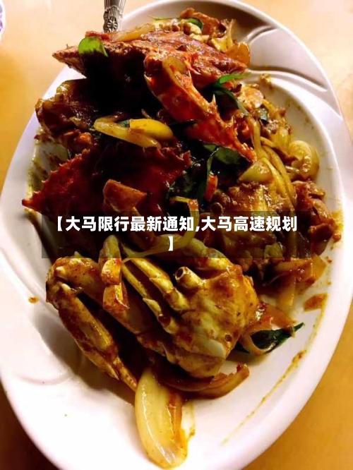 【大马限行最新通知,大马高速规划】